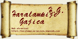 Haralampije Gajica vizit kartica